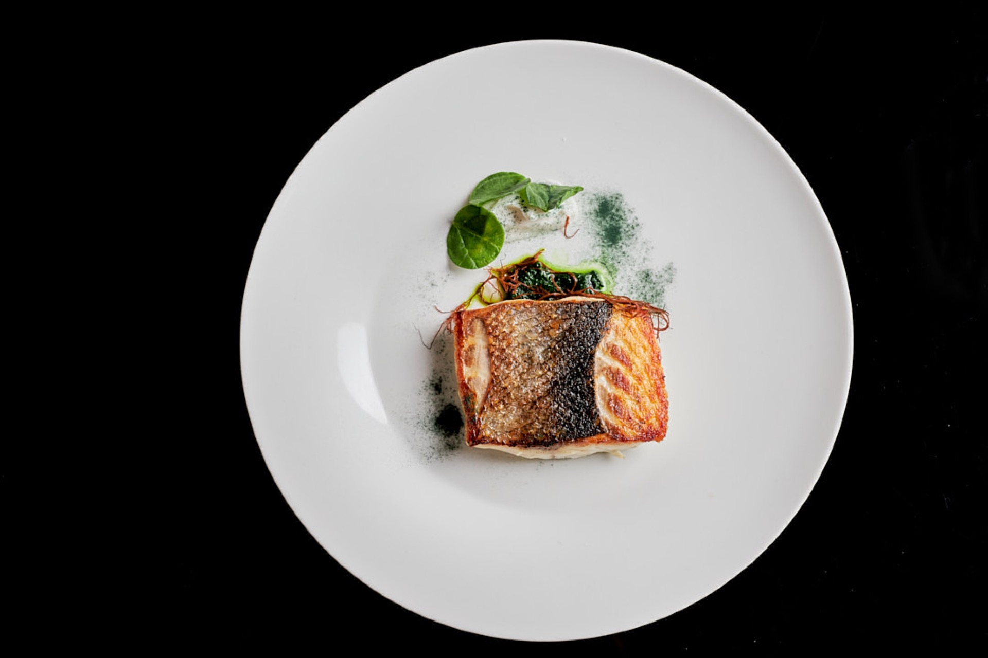 Fotografía de naturaleza